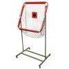 Trigon Sports Football Passing Net